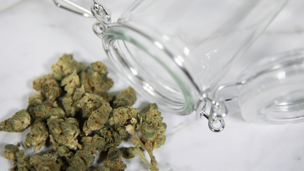 Cooking with Cannabis: Grilled Steaks and Seafood Recipes